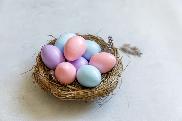 Happy easter concept preparation for holiday colorful decorated easter eggs in nest with feather on ...