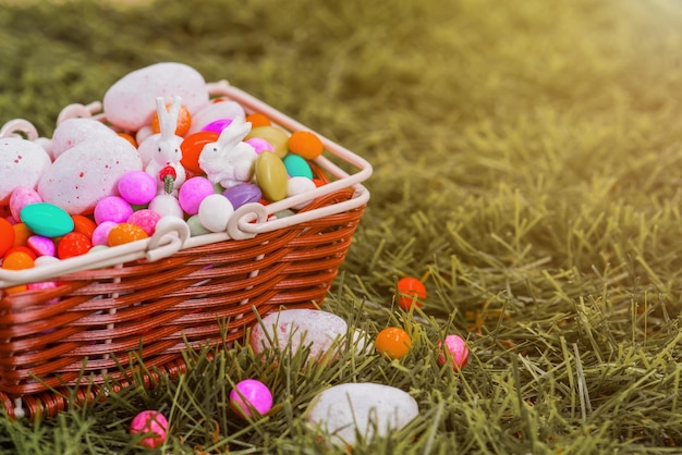 Happy Easter day, bunny and egg for celebrate in April. Sweet candy with basket.