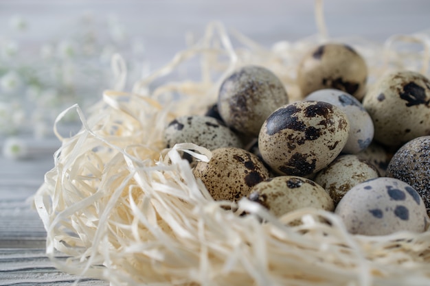 Фото Счастливое пасхальное украшение с перепелами egss в гнезде