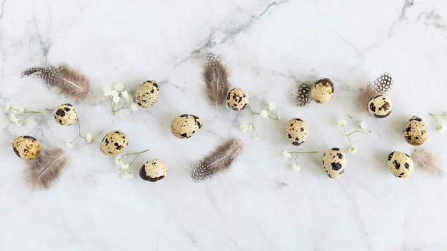 Happy easter pattern quail eggs feathers spring flowers on white marble background