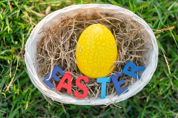 Photo happy easter with colorful eggs cute bunny in the morning, funny decoration in grass spring season