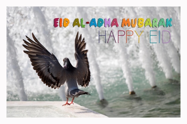 Happy Eid alAdha Eid Mubarak greeting Celebration of Muslim holiday