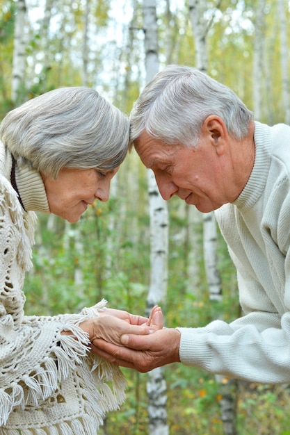 Happy elderly couple posing at nature on blurred autumnal leaves background