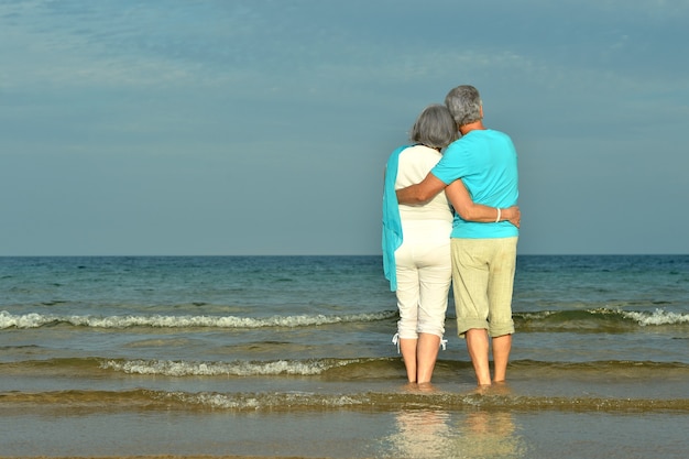 열 대 해변에서 행복 한 노인 부부 휴식, 후면보기