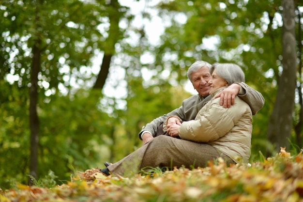 Happy elderly couple sitting in autumn nature