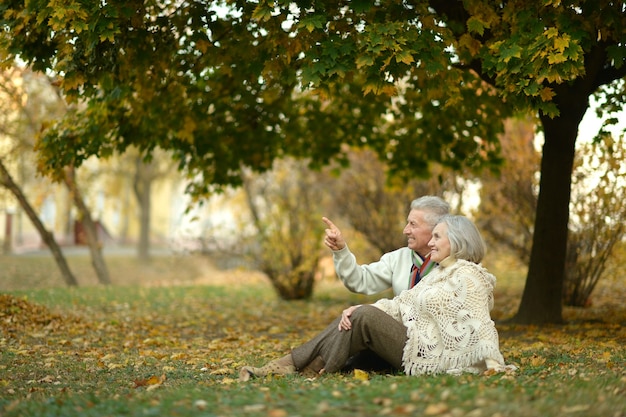 Happy elderly couple sitting in autumn park,man shows something by his hand