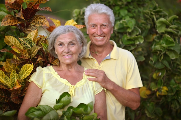 Happy elderly couple   in tropical garden outdoor