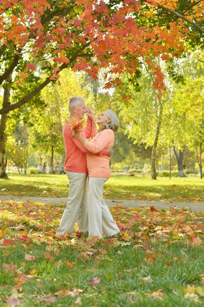 Happy elderly couple walking in autumn park