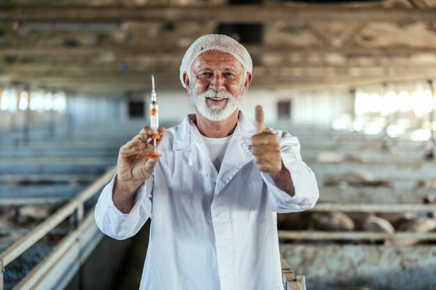 A happy experienced veterinarian is standing in the barn holding a syringe and showing thumbs up