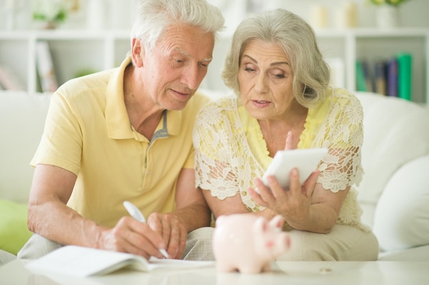 Foto famiglia felice coppia allegra di anziani seduti con la calcolatrice che conta i soldi