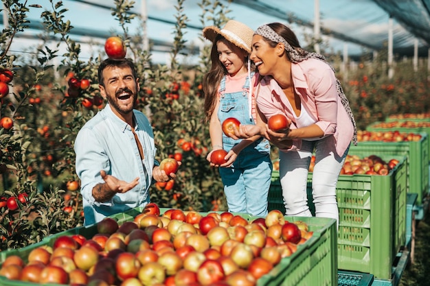 Foto famiglia felice che si diverte insieme mentre raccoglie le mele nel frutteto.