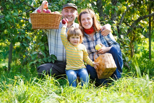 Happy family harvests of apples in a garden outdoors