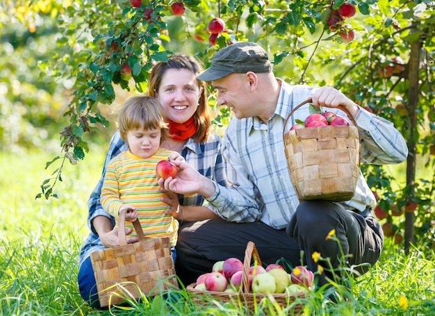 Happy family harvests of red apples