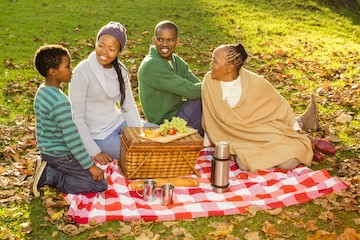 Black Family Picnic Images - Free Download on Freepik