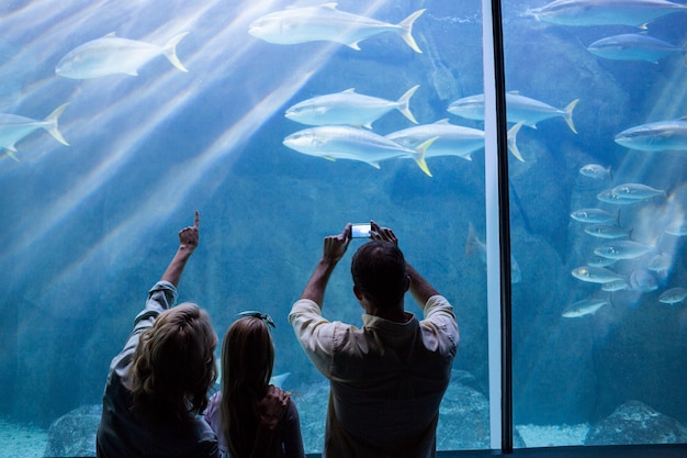 写真 魚のタンクを見ている幸せな家族