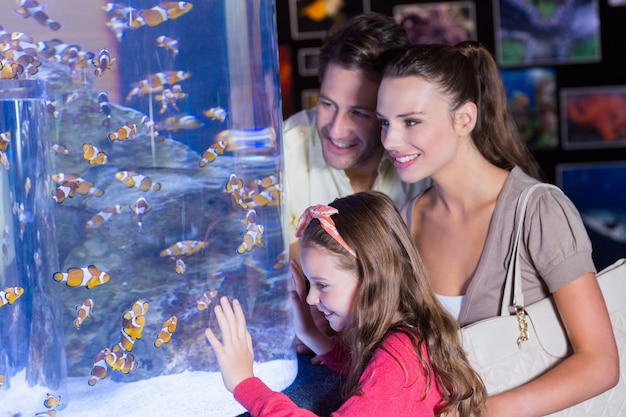 Счастливая семья, глядя на аквариум