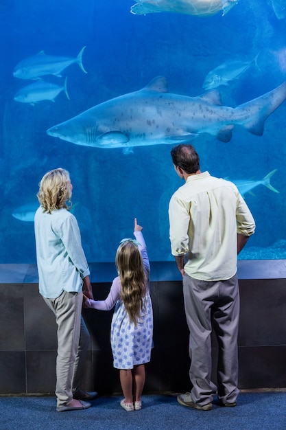 Foto famiglia felice guardando il serbatoio di pesce