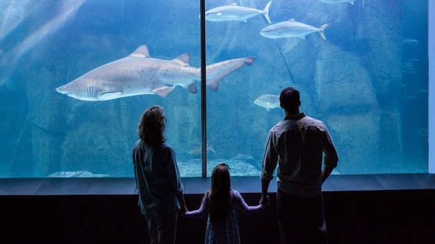 Happy family looking at the fish tank