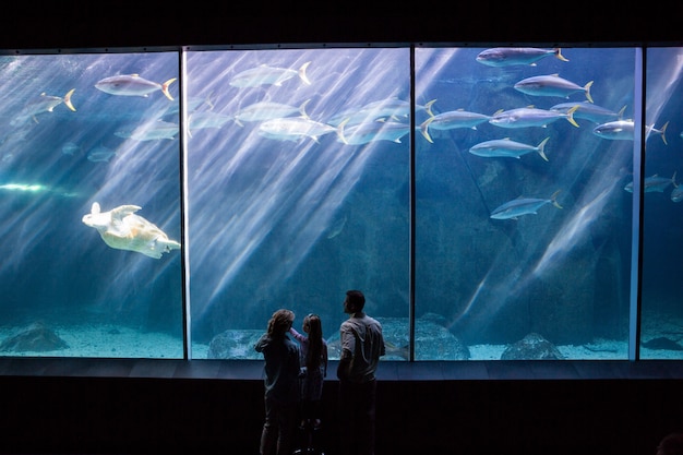 Happy family looking at the fish tank