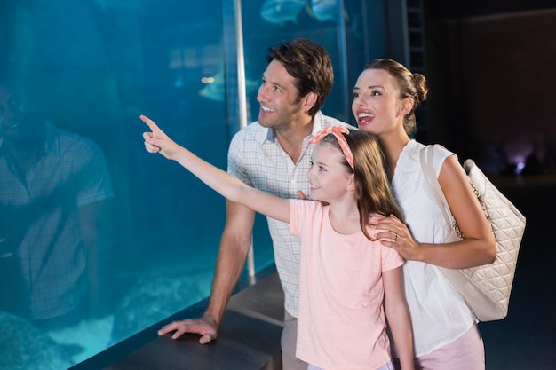 Happy family looking at shark