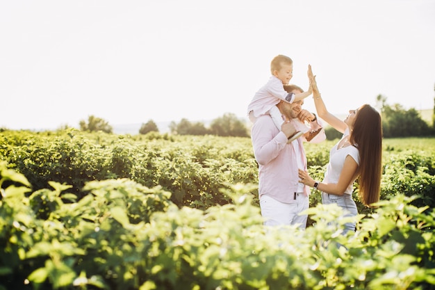 Happy family posing on a green field