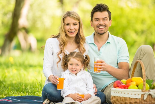 幸せな家族は公園の芝生の上に座っているとジュースを飲みます。