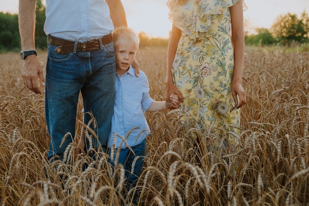 a happy family walks through a wheat field The parents hold their sons hands at sunset