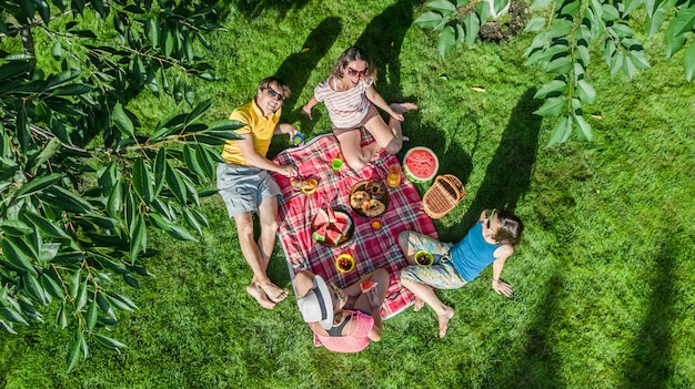 Famiglia felice con i bambini che hanno picnic nel parco