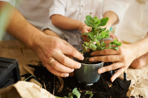 幸せな家族の在宅勤務。子供と一緒に植物を移植する