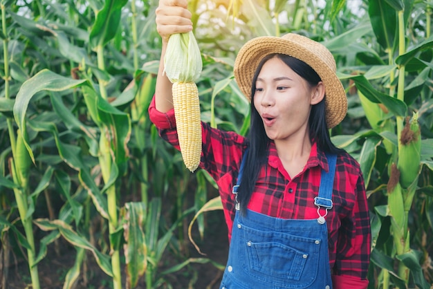 옥수수 밭에서 행복 한 농부