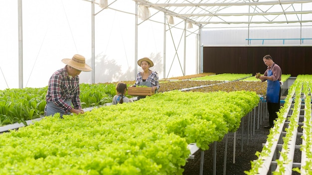 水耕温室農場のきれいな食べ物と健康的な食事の概念で働く幸せな農家の家族