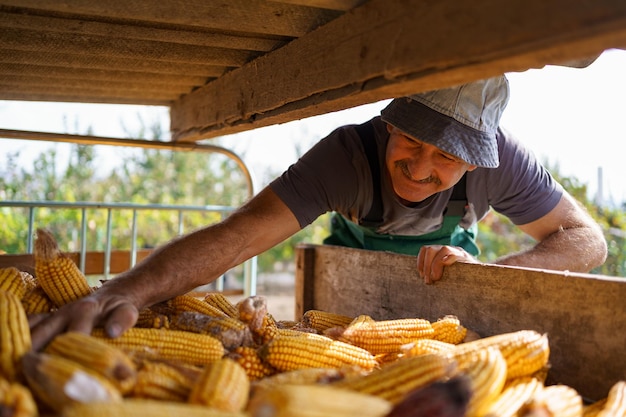 Happy farmer is satisfied with his corn harvest at countryside