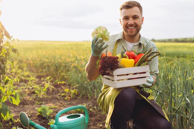 Happy farmer man holding basket with fresh vegetables and showing cabbage in garden gardening concept