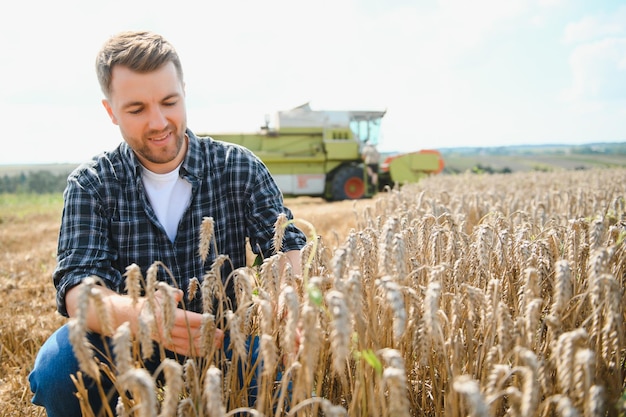 Happy farmer proudly standing in a field Combine harvester driver going to crop rich wheat harvest Agronomist wearing flannel shirt looking at camera on a farmland