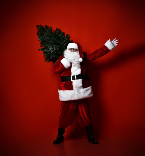 サンタクロースの幸せな太った腹はクリスマスツリーを運び、赤い背中に挨拶で手を振る