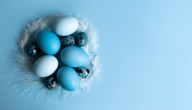 青い背景を持つハッピーお祝いイースター バナー。お祝い塗装鶏とウズラの卵