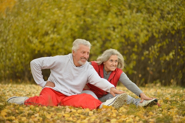 秋の公園で運動する幸せなフィットの年配のカップル