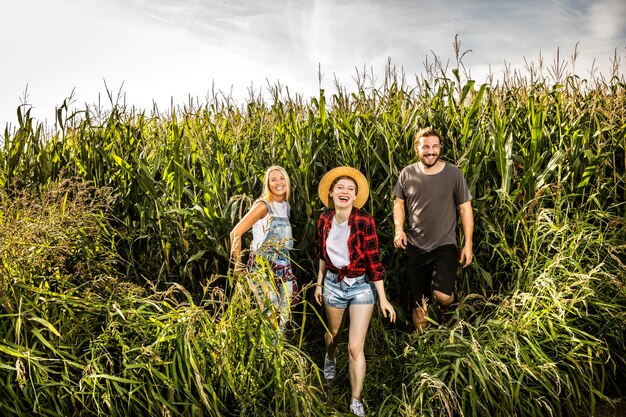 Happy friends in a cornfield