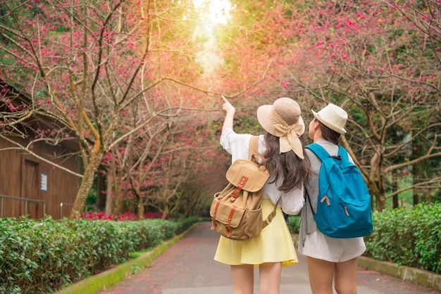 Photo happy friends pointing with finger of blooming sakura flowers at cherry blossom trees avenue over copy space during spring travel. summer vacation trip on the japan, korea, taiwan with girlfriend.