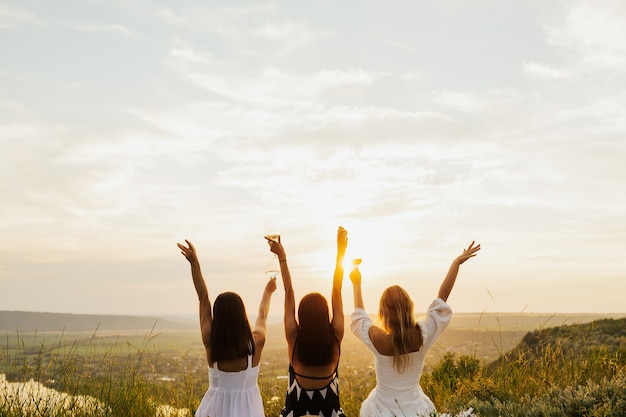 Happy friends raised glasses and celebrating at summer picnic.