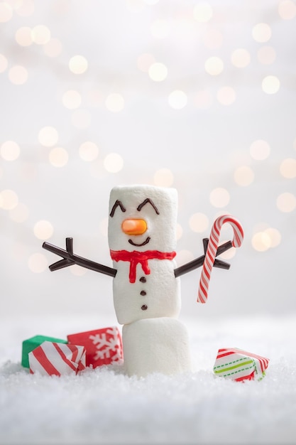 Happy funny marshmallow snowman