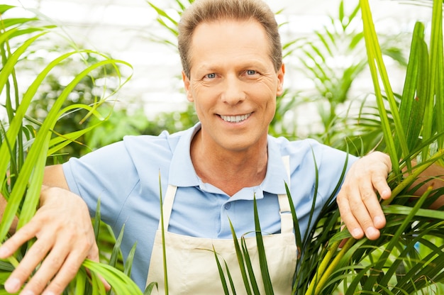 幸せな庭師。植物を通して見て、笑顔のハンサムな成熟した男