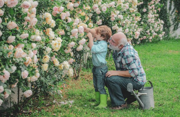 Happy gardeners with spring flowers. Grandfather talking to grandson.