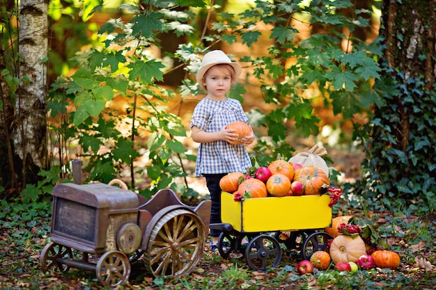 Happy girl in a tractor autumn harvest: with a cart with pumpkins, viburnum, rowan, apples