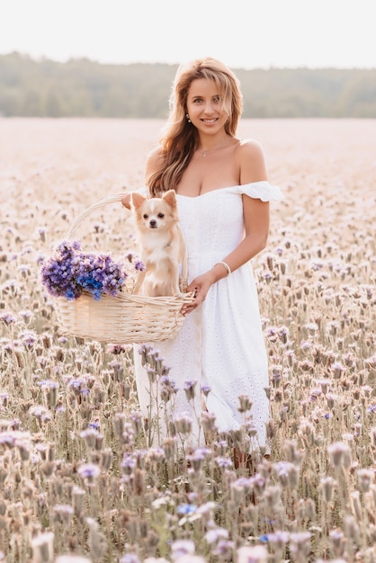 Happy girl with cute Chihuahua dog in a basket with a bouquet of flowers in nature in the field in summer