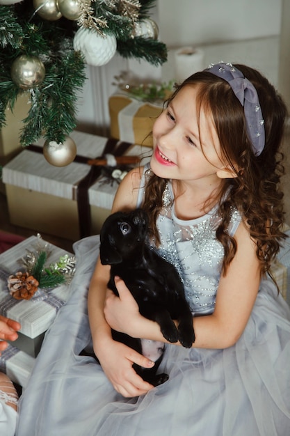 Happy girl with cute griffin breed dog on background of golden beautiful Christmas tree with gifts in festive room on Merry Christmas and Happy New Year. Family warm atmospheric moments with presents