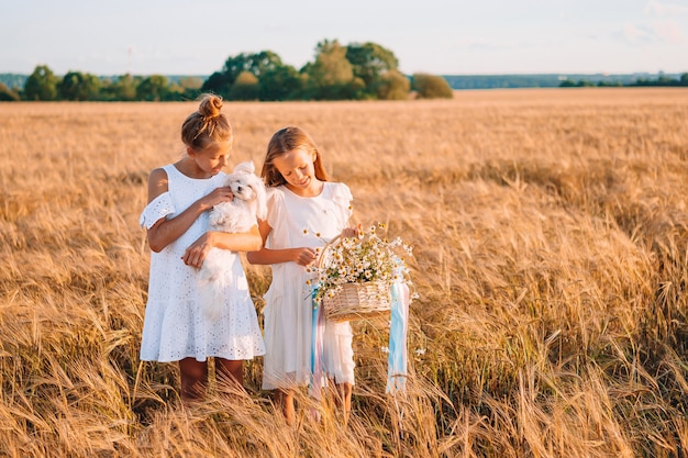Happy girls in a wheat field