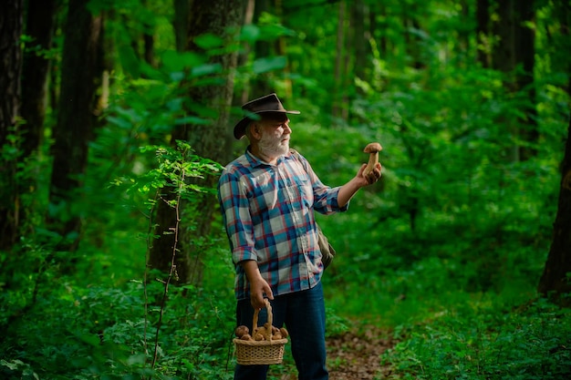 Счастливый дедушка с грибами в корзине охотится за грибами