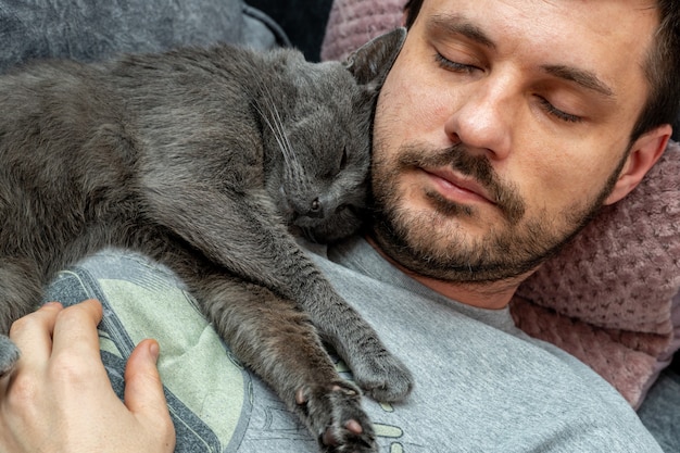 Счастливый серый кот спит, обнимает на плече, на груди у мужчины