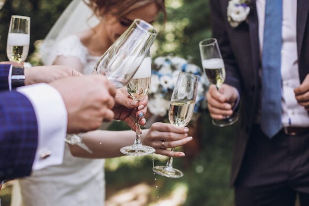 Happy group of people toasting with champagne hands holding glass of champagne bride bridesmaids and groom groomsmen having fun holiday celebration christmas feast